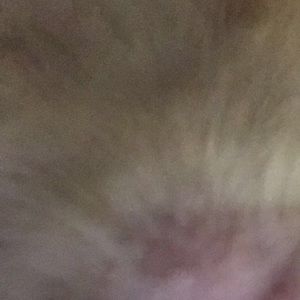 Meet your Posher, Colbie